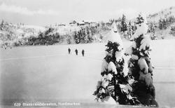 Blankvandsbraaten, Nordmarken.