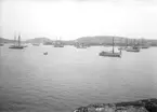 Juli 1924. Ort: Skärhamn, Bohuslän Objektiv: Meijer Väder: Sol.