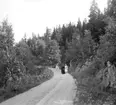 (Stereo karta XIX) Vid Örsjöns strand. 2 September 1928.