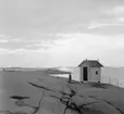 (Stereo karta XV) Solnedgångsbilder, Stångehuvud. 18 Juni 1926.