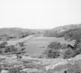 (Stereo karta XVII) Marstrandsdalen. 25 Augusti 1926.