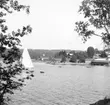 Stereo karta XVI) Gustafsberg, 11 Juli 1926.