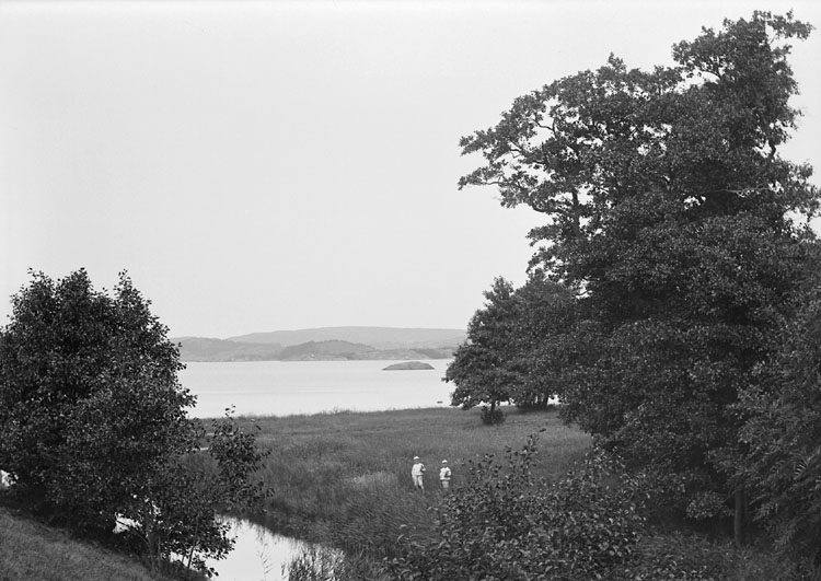 UMFA54478:0204