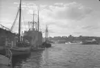 GEDYNIA och PALMIR vid Grötö kaj 1950.









i