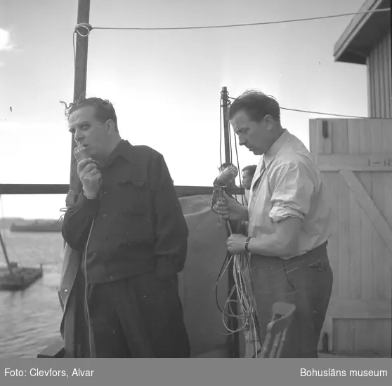 Text till bilden: "Vattensportfest i Lysekil. 1954.08.01"








i