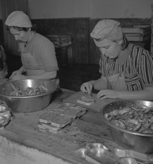Text till bilden: "Lysekil. Luckeys. Inläggning av ansjovis. 1942"


