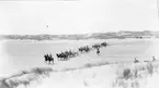 Okänt artilleriförband rider över fält,1890-tal.