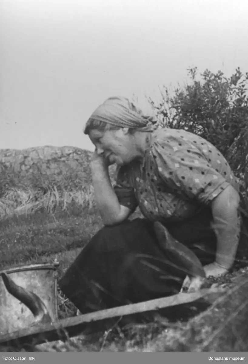 Magdalena Andersson i sköördearbete på Härön
