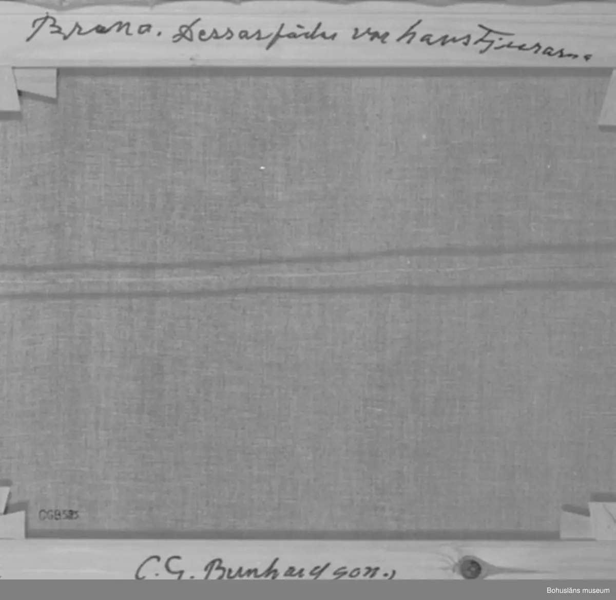 Baksidestext: 
"Bruna. Dessas fäder var havsTjurarna
C.G. Bernhardson."

Texten skriven på övre ramkanten, signaturen på den nedre.

Ordförklaring: Bruna = avkomman efter havstjurar och vanliga kor, havstjurarna = tjurar som ägdes av det havsfolk, som enligt folktron levde på havets botten. Tjurarna kom ibland upp på land och parade sig med kustbefolkningens kor.

Övrig historik; se CGB001.