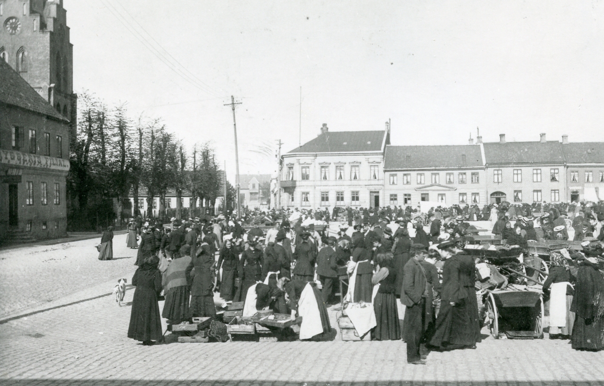 FGH000325
