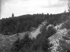 Kyrkåsen, Enköping, vy från nordöst, troligen 21 juni 1911. Vårfrukyrkan till vänster, dåvarande vattentornet till höger.