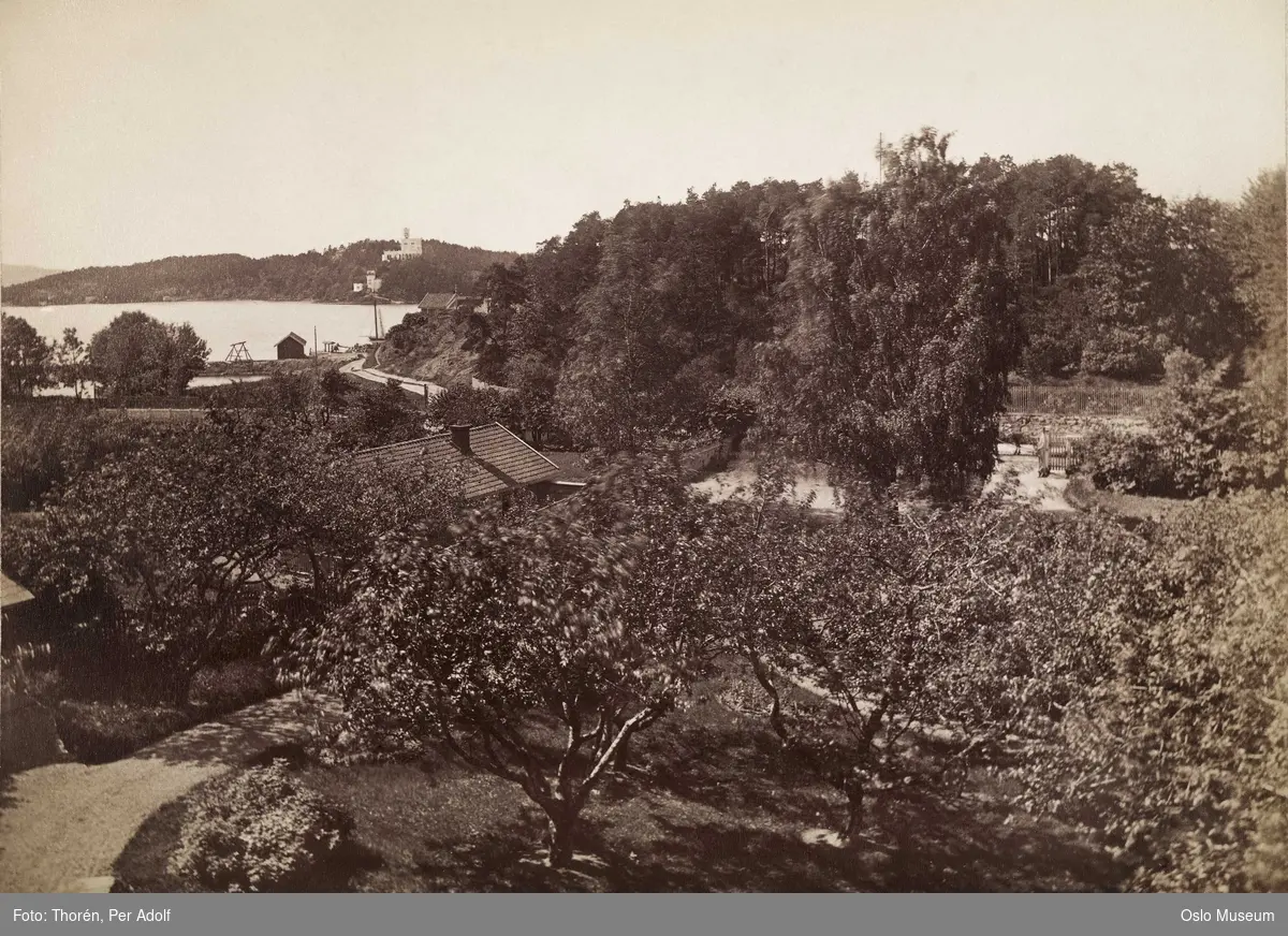 utsikt, hage, frukttrær, bolighus, skog, strand, fjord, Oscarshall