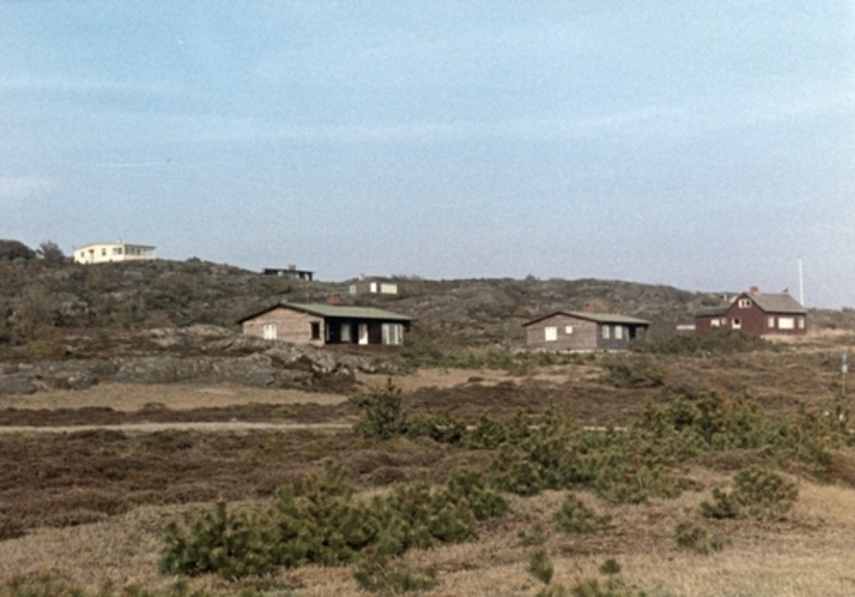 Bua