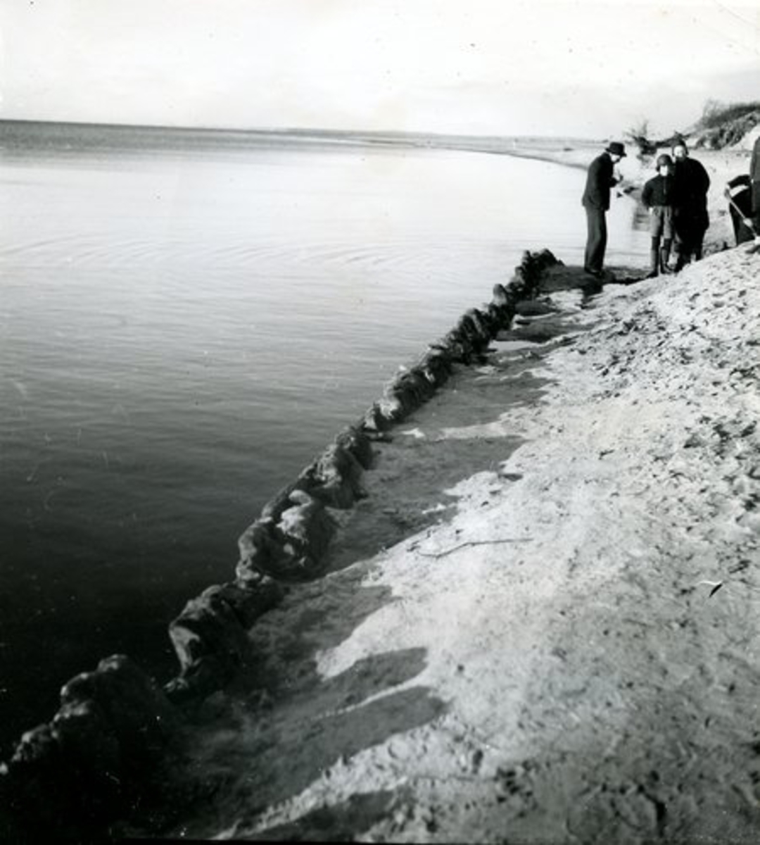 Laholm. Lagaoset del av gammalt fartyg. Fynd 1938.