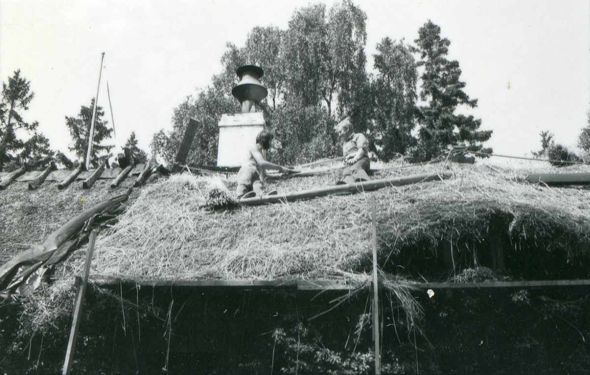 Halmtakläggning på manhusbyggnaden från Krafsagården i Olofstorp, Valinge i september 1980.