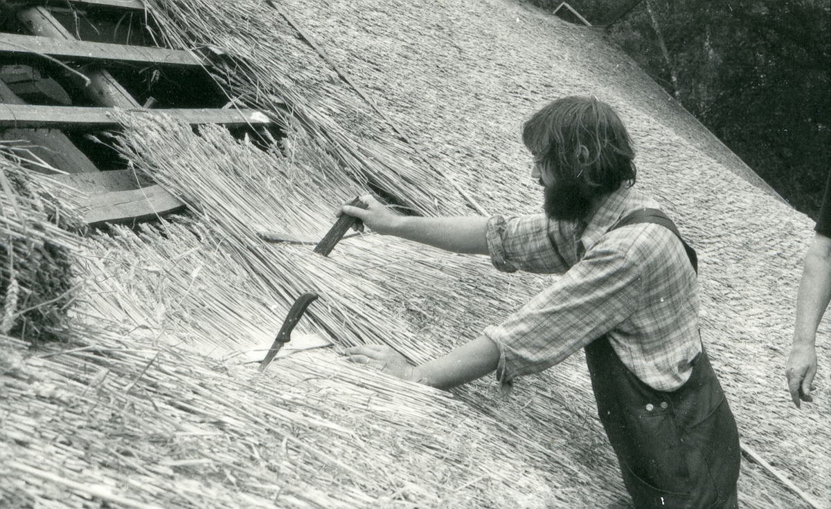 Halmtakläggning på manhusbyggnaden från Krafsagården i Olofstorp, Valinge i september 1980.