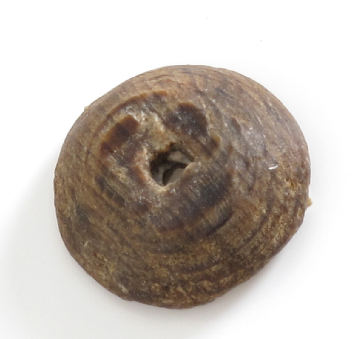 Knapper, 11 stk.  "Fredensborg,"1768. 

a)  Lærknapp. Diam. 2,1 Flat underside, overside med radiære riller, to hull. Et lite stk. borte i  kanten.  

b-f )  Knapper, 5 stk., Tre,  med hvelvet overside og ett forholdsvis stort hull. Diam. 1,9.  y  

g-i.)  Knapper, 3 stk. Tre. Tynne, små, med ett hull.   Diam. 1,2.

j-k )  Knapper, 2 stk. svakt hvelvet overflate,ett  hull, den ene avslått et segment. Diam. 2,1.