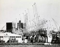 havn, havneskur (Wilhelmsen), skip, kraner, Rådhuset