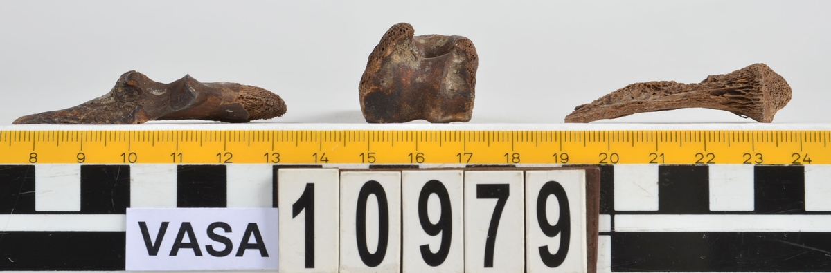 Ben från får/get (Ovis aries/Capra hircus).
1 st. fragment av skulderblad (scapula).
1 st. överarm (humerus).
1 st. strålben (radius).
1 st armbågsben (ulna).
1 st. lårben (femur).
1 st. skenben (tibia).
1 st. del av bäckenben ( del av pelvis).