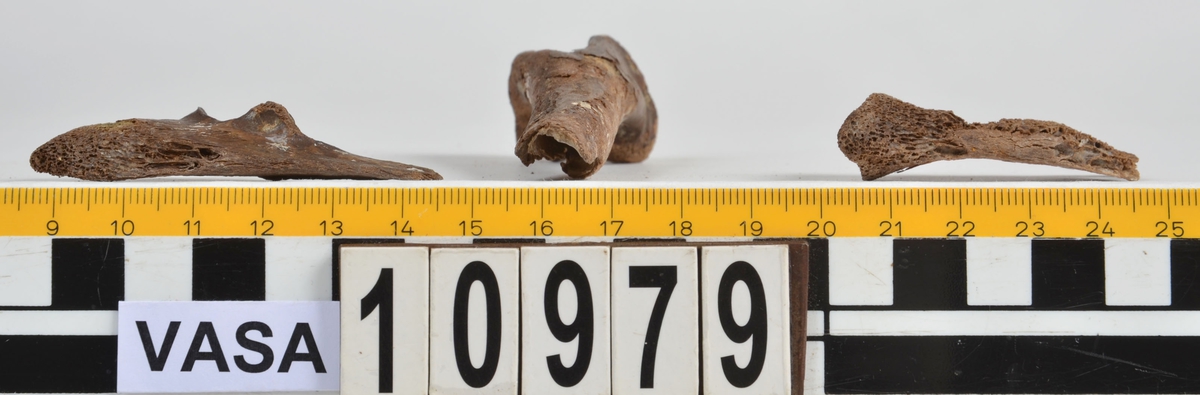 Ben från får/get (Ovis aries/Capra hircus).
1 st. fragment av skulderblad (scapula).
1 st. överarm (humerus).
1 st. strålben (radius).
1 st armbågsben (ulna).
1 st. lårben (femur).
1 st. skenben (tibia).
1 st. del av bäckenben ( del av pelvis).