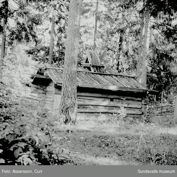 Fornhemmet Störs, (kokhus) fån Överturingen, Haverö.
Står numera på Norra Berget.