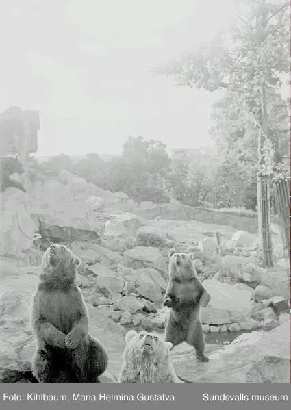Bilder från gruppresa. Med bl a Fotograf Ester Näslund.