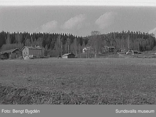 SuM-foto010730