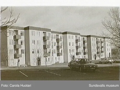 SuM-foto012142
