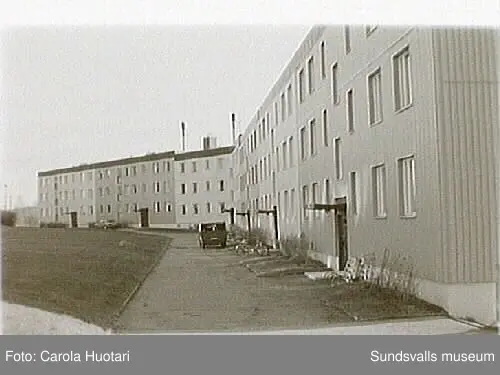 SuM-foto012142