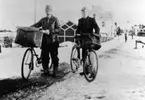 Lantbrevbärare i Alfta, Hälsingland, vintern 1937. Från vänster: Abel Philgen, Rudolf Larsson. Philgren hade en linje från postexpeditionen i Alfta till Silfors såg i Långhed en sträcka på ca 17 km enkel väg; Rudolf Larsson hade sin linje till Malvik, Myra och åter, ca 15 km enkel väg.  Alfta kyrka syns i fonden.