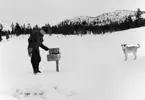 Lantbrevbärare Per Andersson, Västerfjäll. Åkande på linjen Långudden-Västerfjäll (45,5 km).