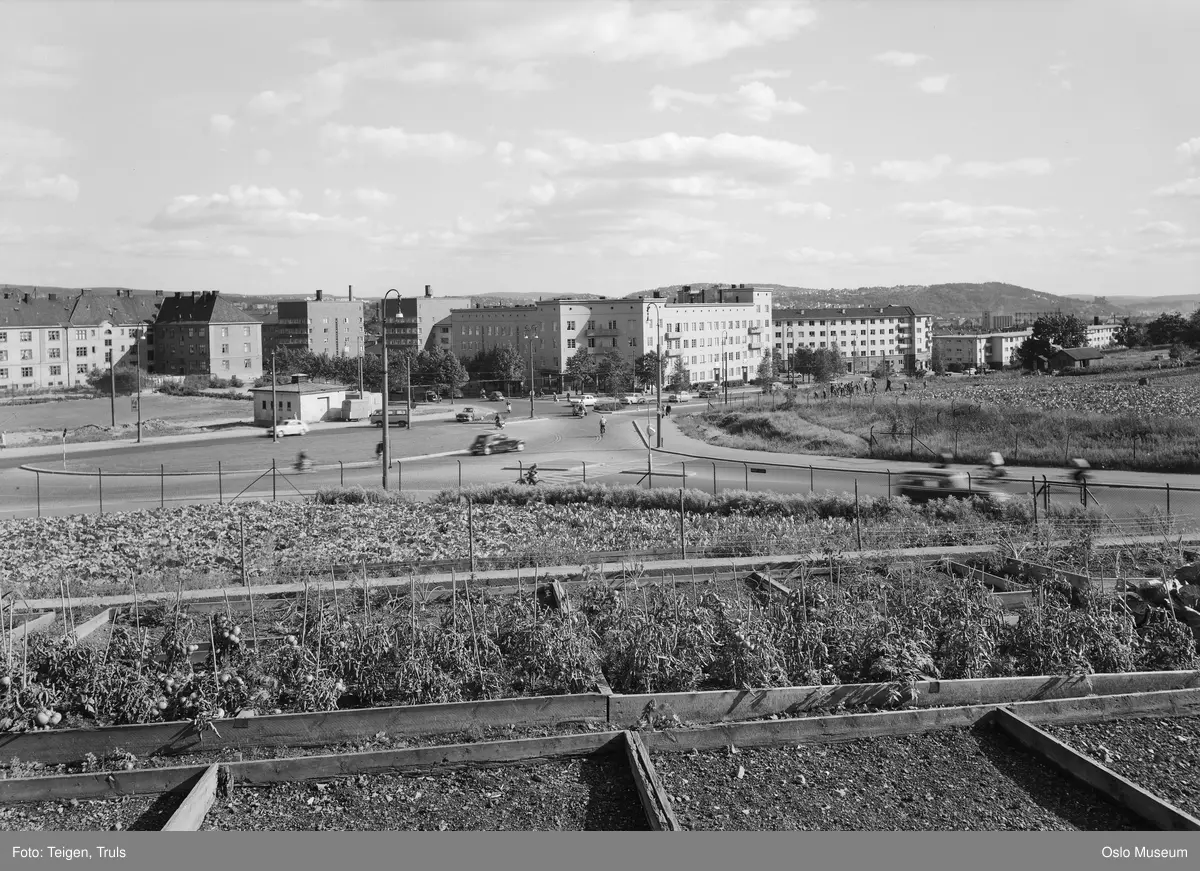 utsikt, skolehage, plass, veikryss, biler, mennesker, boligblokker, bygårder