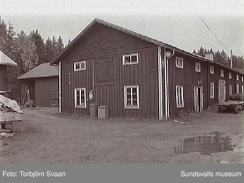 SuM-foto013651