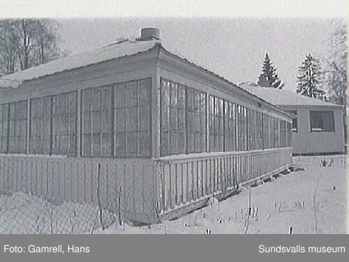 SuM-foto014884