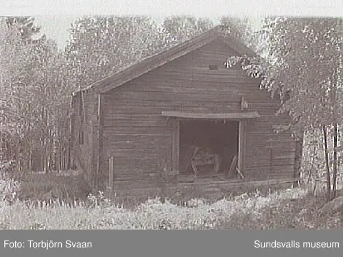 SuM-foto016420