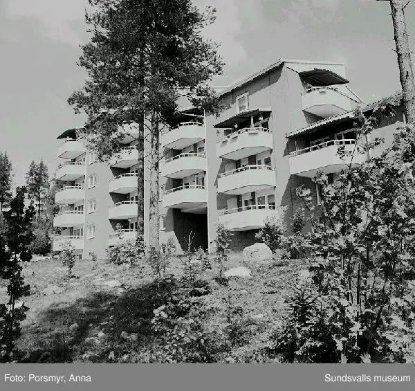 Bostadsrättsföreningen Champinjonen, Granloholm. Bild 01- 02, utsikt från höghuset, Kungsbackavägen 55 ner över gård 3. Bild 03 - 04, utsikt från höghuset Kungsbackavägen 1. Bild 05, höghuset Kungsbackavägen 1, gård 1. Bild 06, garage och gård 2. Bild 07, infart till gård 2. Bild 08, garage och höghuset, gård 3. Bild 09 - 11, utsikt från höghuset, gård 3. Bild 12, höghuset Kungsbackavägen 55, gård 3, balkongsidan åt  SV.