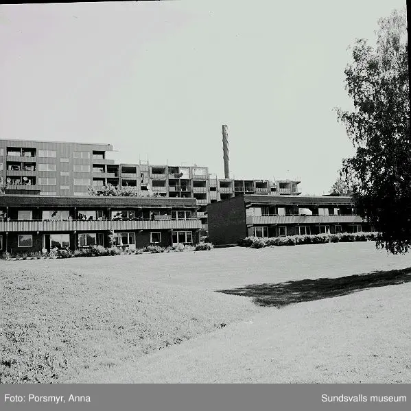 Mitthem AB:s hyreshusområde i Bergsåker, Ponnyvägen 1 - 19, Betselvägen 14 - 68:01 Bostadshusen mot norr, Betselvägen 14 - 6202 Betselvägen 28 - 4603 Betselvägen 14 - 28 med Gunghästens förskola i förgrunden04 Ponnyvägen 1 - 19 med pågående rivning av Ponnyvägen 1 - 505 - 09 Selektiv rivning av Ponnyvägen 1 - 510 Tvåvåningshusens sydsida, Ponnyvägen 19 A - H11 Gunnar Bergkvist t.v. (född i Bergsåker) och Olle Persson (född i Granlo) på den senares terrass, Ponnyvägen 19 G