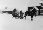 Hästpostföring på linjen Övertorneå-Pajala, 1924.