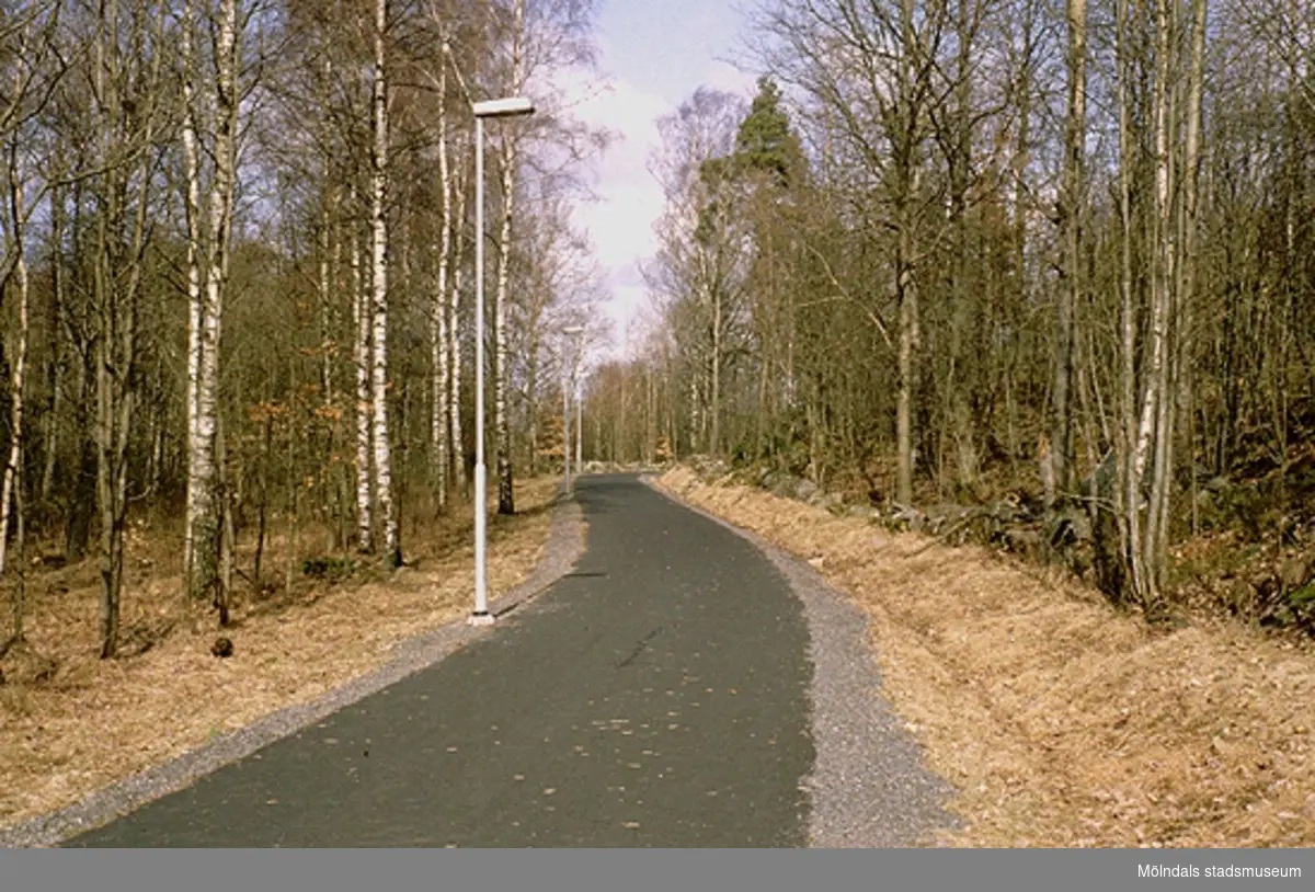 Ett asfalterat elljusspår i Norra Valås, på väg mot Lambertsons, mars 1993. Till vänster om gångvägen finns lyktstolpar, till höger en gärdesgård.