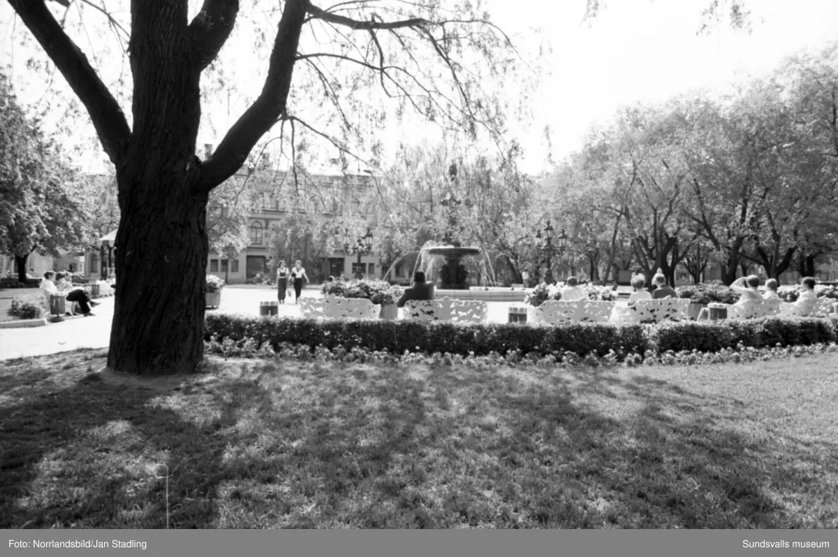 Bilder från reportage i HSB:s medlemstidning Vår Bostad, av Ingrid Andersson. "Staden mellan bergen är som en miniatyr av Rio" : min syn på stan. Bilder från bland annat Bosvedjan, sjukhuset, Norra berget, Södra berget, kommuhuset, hamnen med färjan Wasa Express, stadsvyer vid Vängåvan och Stora torget.