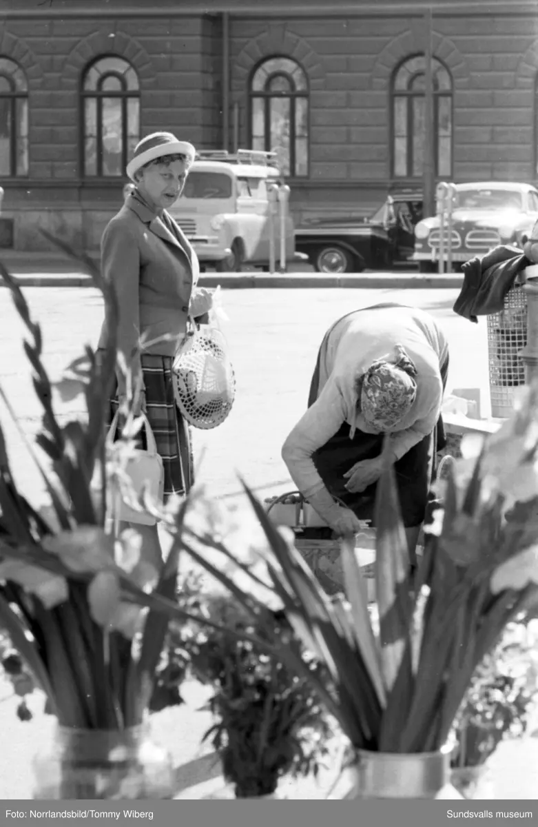 Torgkommersen är i full gång och mängder av frukt, bär, grönsaker och blommor finns till försäljning. Bilderna tagna till ett reportage i Dagbladet.