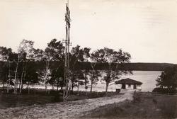 Tulebo