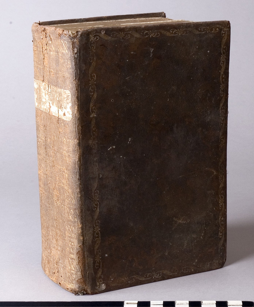 Bibel, inbunden med guldsnitt och pärmar av läder. Rygg och pärmar med präglad förgylld dekor i form av horisontella band samt med blomstergirlander.
Etikett av papper på ryggen med titeln "BIBEL" i förgyllt typsnitt. Etiketten är nött och sliten och därför något svårläslig.
Sprickor och insektsangrepp samt bortfall av förgyllningen på lädret.

Märkt: "Nord. mus." samt med "G. af banktjänstemannen E.G. Hedberg 21/7 1899"