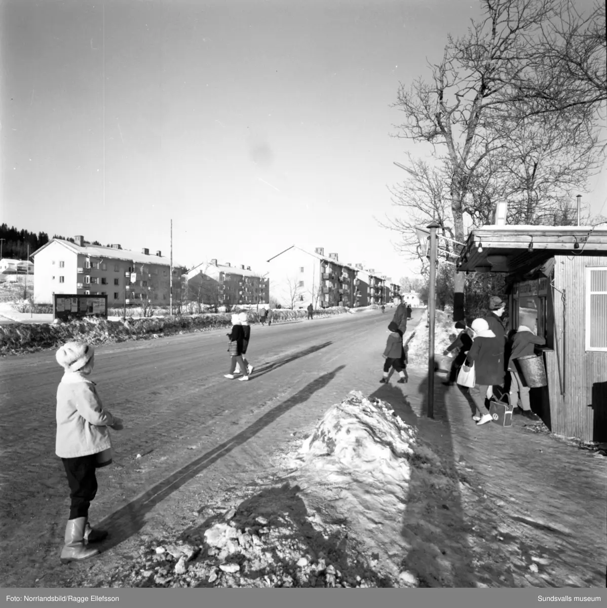 Diverse bilder från Timrå köping. Bland annat fasaddekoren vid simhallen, bronsskulpturen vid Tallbacken, Mariedalsskolan.