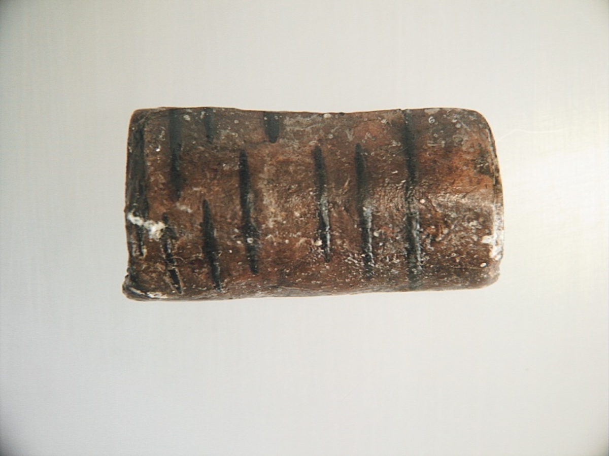 Ett flöte av näver. Flötet har formen av en rulle. I flötets mitt finns ett ca 13 mm brett hål som löper genom rullen. Flötet är välbevarat.