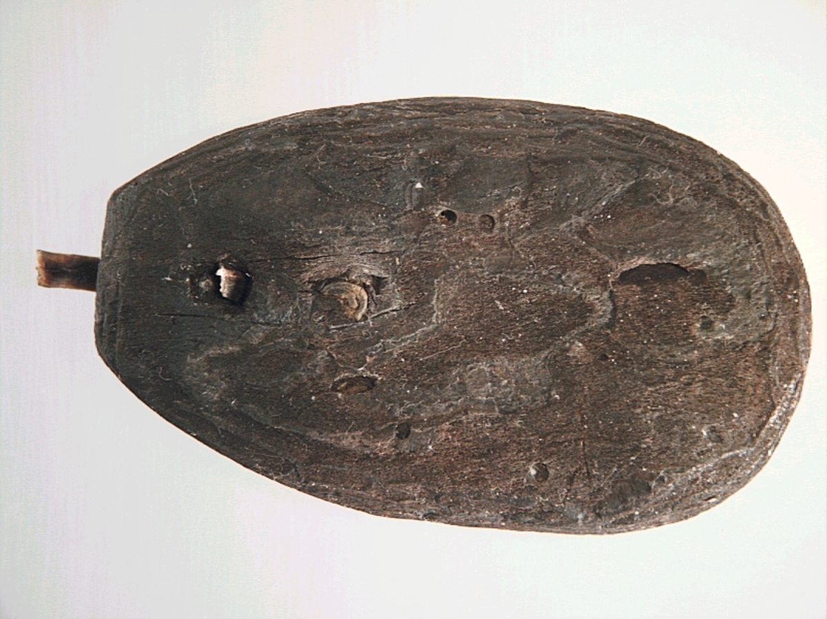 Ett ovalt flöte av bark. I flötets övre del finns två mindre hål, med kvarsittande band av rot. Flötet är välbevarat.