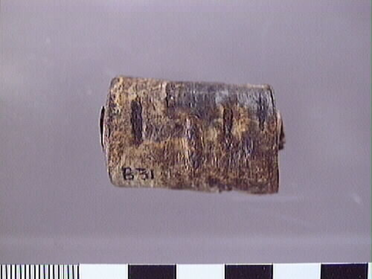 Ett flöte av näver.
Flötet består av en bit näver som har formen av en rulle. Flötet är välbevarat.