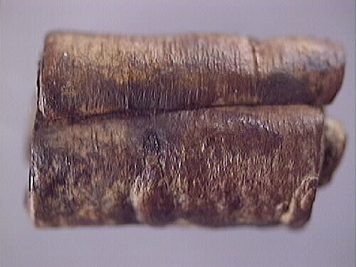 Ett flöte av näver.
Flötet består av en bit näver som har formen av en rulle. Flötet är välbevarat.