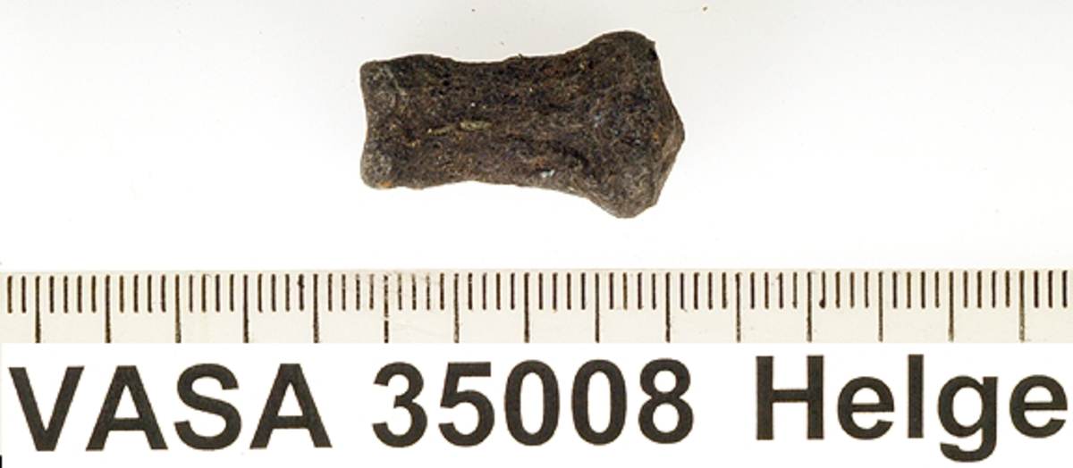 Fingerben, andra falangen, (stråle II-V). I relativt gott skick.
Manus, Phalanx 2 (digiti II-V).