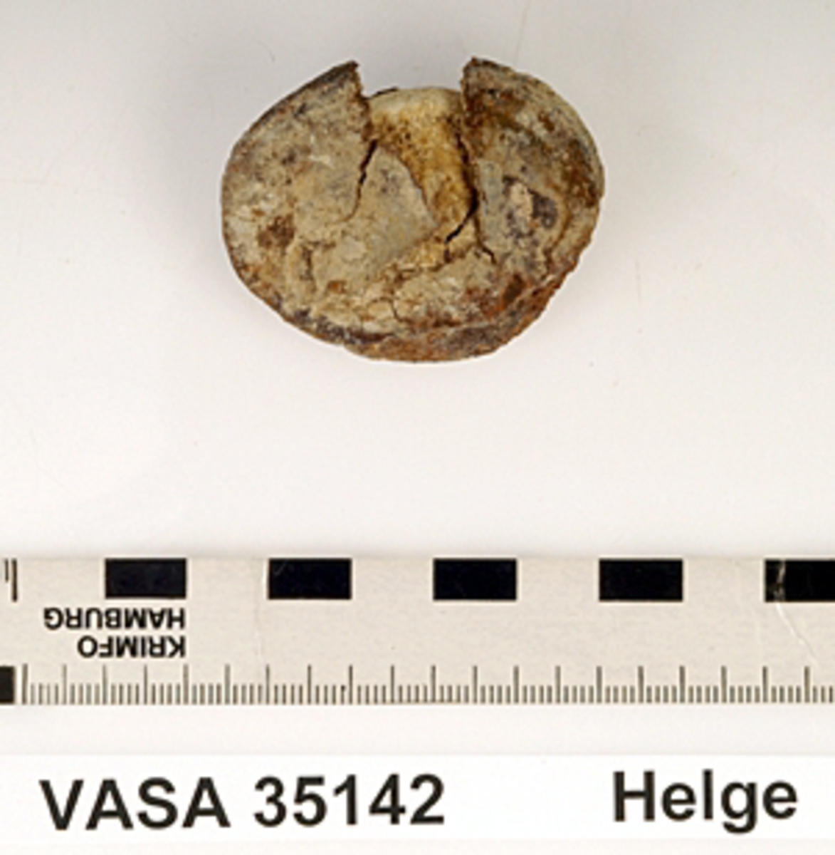 Knäskål, vänster 
Patella, sinister.